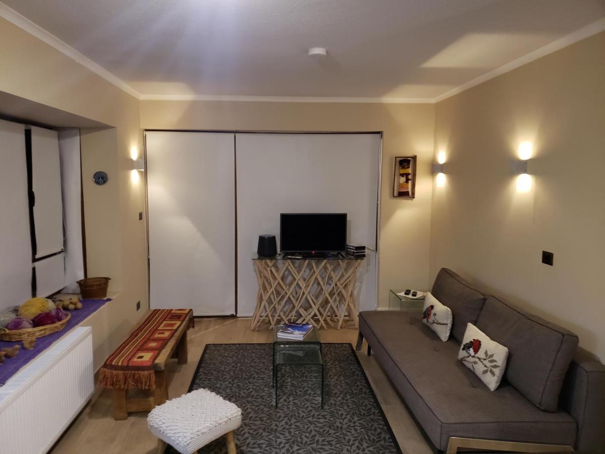 Valle Nevado Vip Apartment Ski Out-In Exterior foto